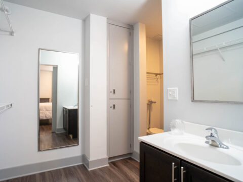 10th floor model bathroom showcasing a bright room with mirrors, storage unit, shelfs, lavatory and shower.