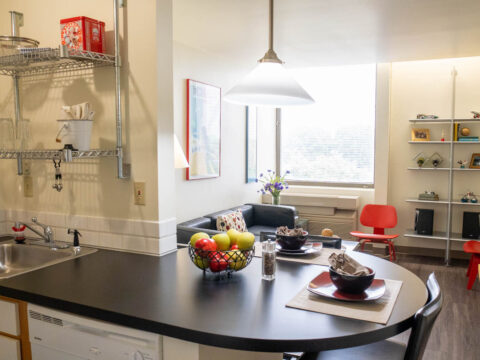 5th floor model bright living room and kitchen area with sofa next to the window, shelving and kitchen countertop.